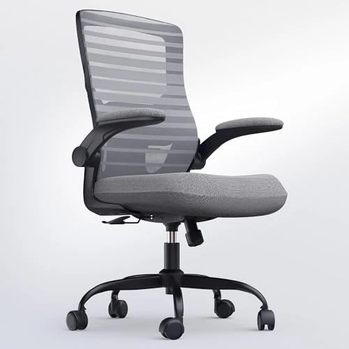Desk Chair for Long Hours & Lower Back Pain Relief — Smart Chairs, QLTPLUS