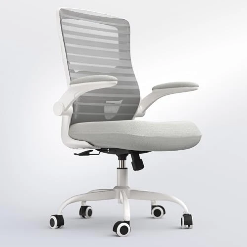 Desk Chair for Long Hours & Lower Back Pain Relief — Smart Chairs, QLTPLUS