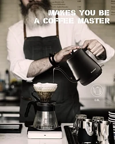 Gooseneck Kettle with Auto Shut Off — Electric Kettle, Keebar