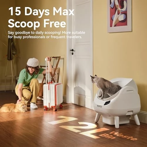 Self Cleaning Cat Litter Box Open-X — Self-Cleaning Litter Box, CATLINK