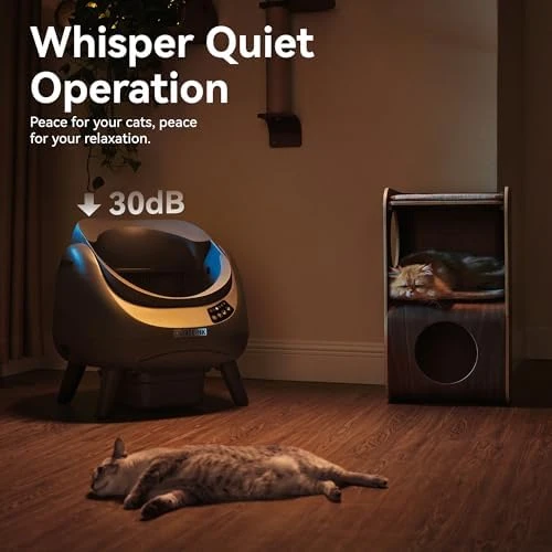 Self Cleaning Cat Litter Box Open-X — Self-Cleaning Litter Box, CATLINK
