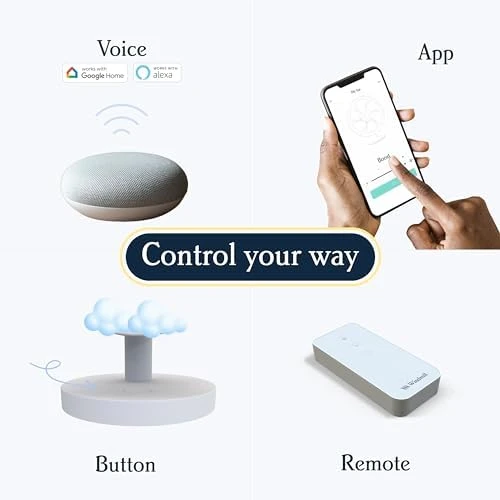 Smart Fan – Ultra-Quiet 2-in-1 Air Circulator with Remote — Smart Fan, Windmill