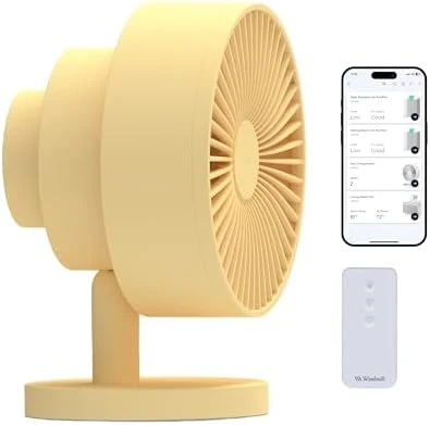 Smart Fan – Ultra-Quiet 2-in-1 Air Circulator with Remote — Smart Fan, Windmill