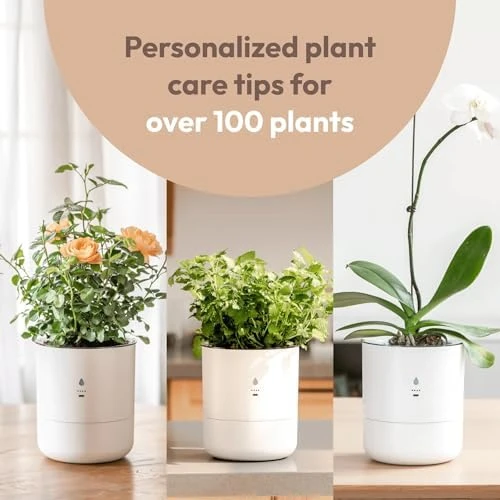 Smart Self Watering Planter with WiFi Bridge & App Control — Indoor Garden, LeafyPod