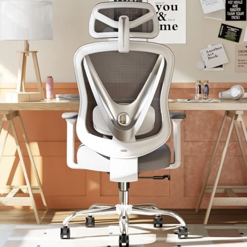 Ergonomic Mesh Office Chair with 3D Adjustable Lumbar Support and 3D Armrests, V-Shaped Back, Adjustable Desk Chair for... — Smart Chairs, HOLLUDLE