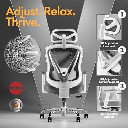 Ergonomic Mesh Office Chair with 3D Adjustable Lumbar Support and 3D Armrests, V-Shaped Back, Adjustable Desk Chair for... — Smart Chairs, HOLLUDLE