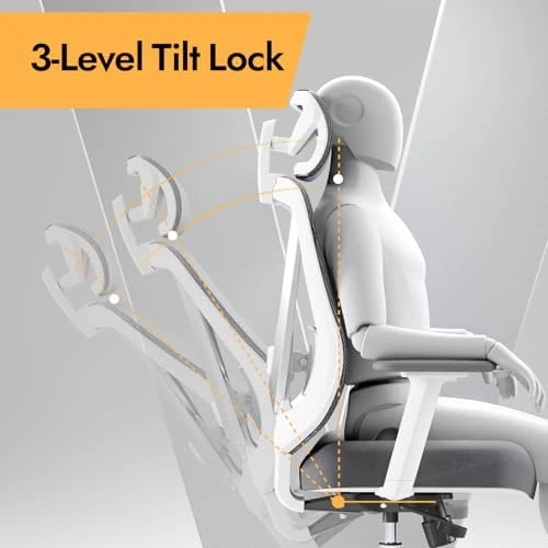 Ergonomic Mesh Office Chair with 3D Adjustable Lumbar Support and 3D Armrests, V-Shaped Back, Adjustable Desk Chair for... — Smart Chairs, HOLLUDLE