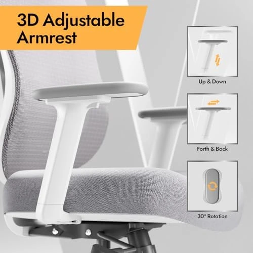 Ergonomic Mesh Office Chair with 3D Adjustable Lumbar Support and 3D Armrests, V-Shaped Back, Adjustable Desk Chair for... — Smart Chairs, HOLLUDLE