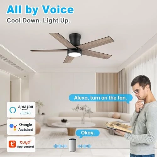 Low Profile Ceiling Fan with Lights — Smart Fan, Lorpies
