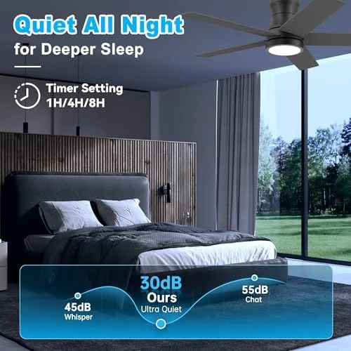 Low Profile Ceiling Fan with Lights — Smart Fan, Lorpies