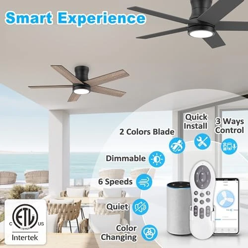 Low Profile Ceiling Fan with Lights — Smart Fan, Lorpies