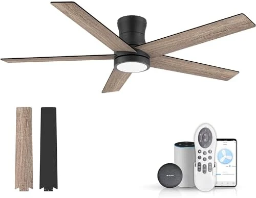 Low Profile Ceiling Fan with Lights — Smart Fan, Lorpies