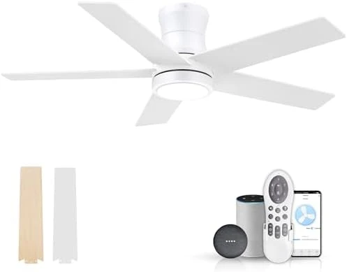 Low Profile Ceiling Fan with Lights — Smart Fan, Lorpies