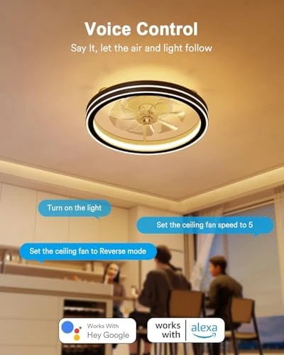 Smart Ceiling Fan Light with Nightlight — Smart Fan, Lumary