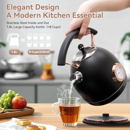 Retro Electric Kettle — Electric Kettle, Rasonic