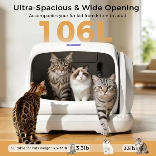 Self-Cleaning Cat Litter Box — Self-Cleaning Litter Box, kubvici
