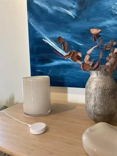 Smart Home Hub — Smart Home Hub, Flic