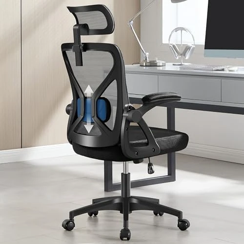 Ergonomic Desk Chair with Adjustable Lumbar Support — Smart Chairs, Nexthro