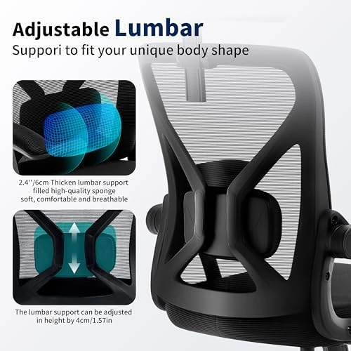 Ergonomic Desk Chair with Adjustable Lumbar Support — Smart Chairs, Nexthro