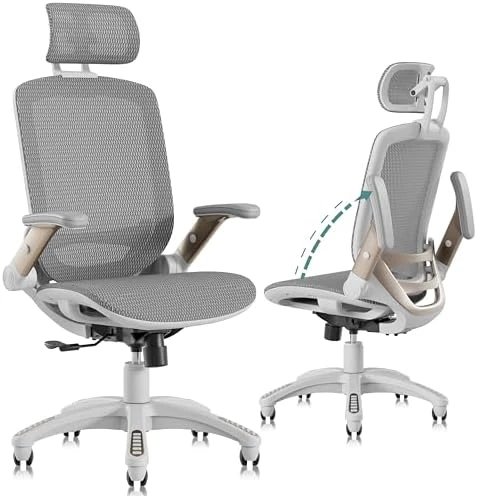 Ergonomic Office Chair with Footrest — Smart Chairs, GABRYLLY