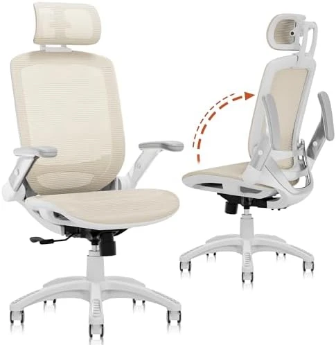 Ergonomic Office Chair with Footrest — Smart Chairs, GABRYLLY