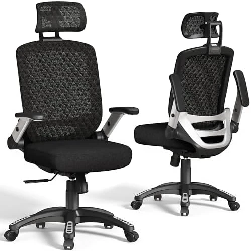 Ergonomic Office Chair with Footrest — Smart Chairs, GABRYLLY