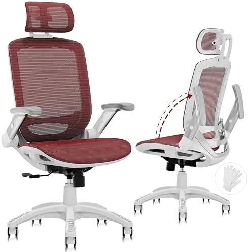 Ergonomic Office Chair with Footrest — Smart Chairs, GABRYLLY
