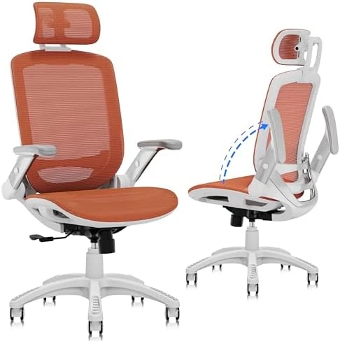Ergonomic Office Chair with Footrest — Smart Chairs, GABRYLLY
