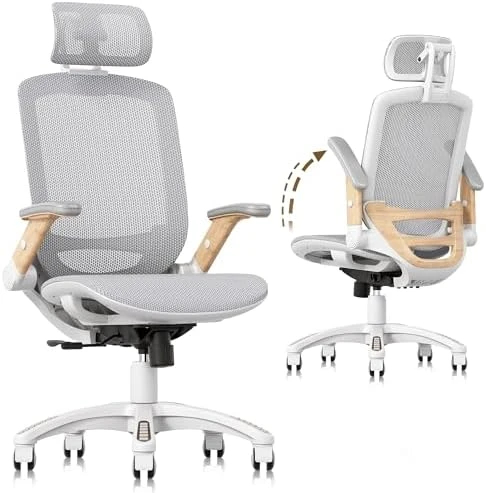 Ergonomic Office Chair with Footrest — Smart Chairs, GABRYLLY