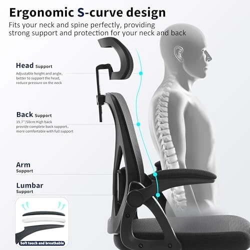 Ergonomic Desk Chair with Adjustable Lumbar Support — Smart Chairs, Nexthro