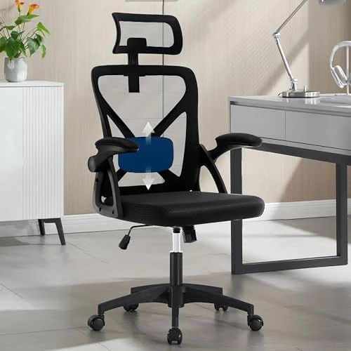 Ergonomic Desk Chair with Adjustable Lumbar Support — Smart Chairs, Nexthro