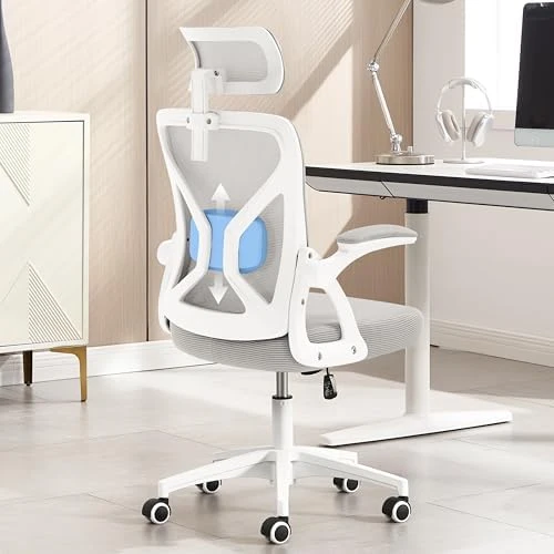 Ergonomic Desk Chair with Adjustable Lumbar Support — Smart Chairs, Nexthro