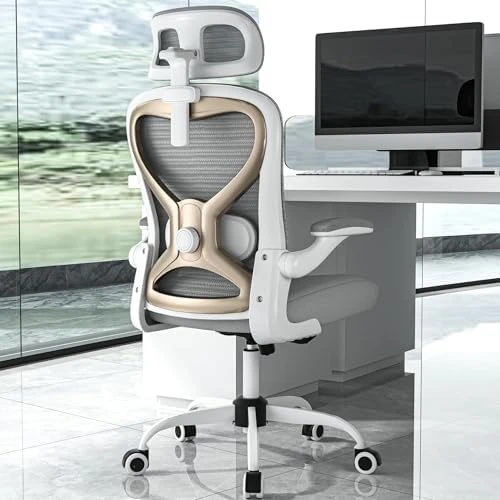 Ergonomic Office Chair with Mesh and Gold Accents — Smart Chairs, CASASIO