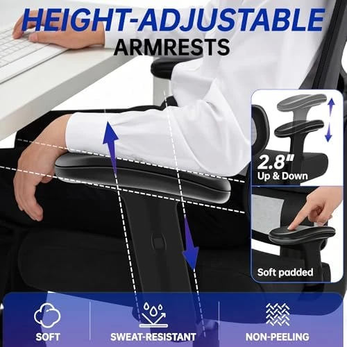 High Back Mesh Office Chair with Lumbar Support — Smart Chairs, Hayelf