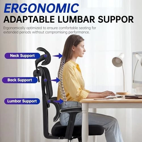 High Back Mesh Office Chair with Lumbar Support — Smart Chairs, Hayelf