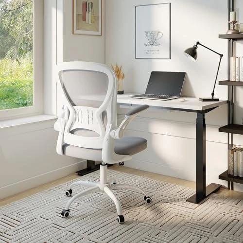 Mesh Office Chair with Flip-up Arms and Lumbar Support — Smart Chairs, Youhauchair