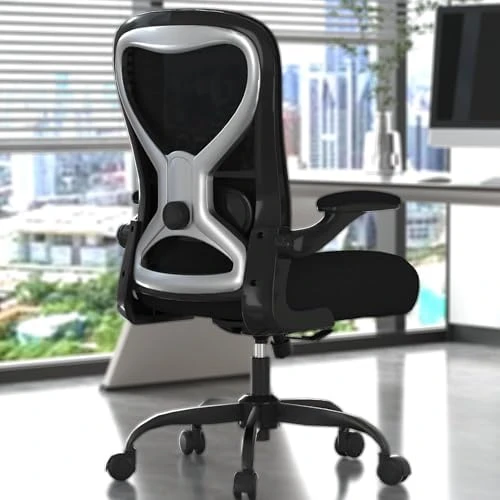 Office Desk Chair with Ergonomic Lumbar Support, Extra-Thick Seat Cushion, Flip-up Arms, Breathable Mesh Back — Smart Chairs, CASASIO