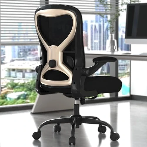Office Desk Chair with Ergonomic Lumbar Support, Extra-Thick Seat Cushion, Flip-up Arms, Breathable Mesh Back — Smart Chairs, CASASIO