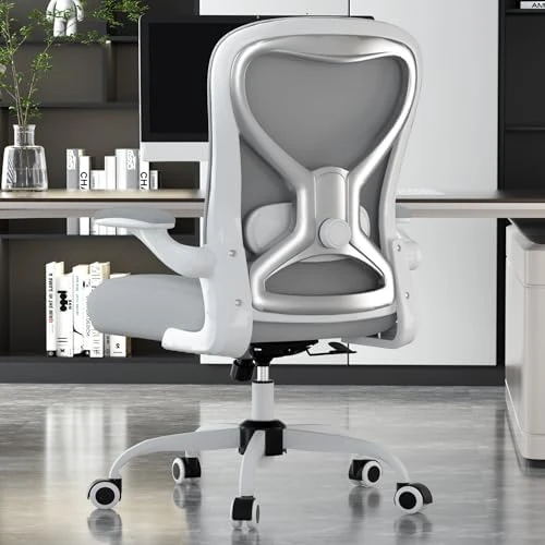 Office Desk Chair with Ergonomic Lumbar Support, Extra-Thick Seat Cushion, Flip-up Arms, Breathable Mesh Back — Smart Chairs, CASASIO