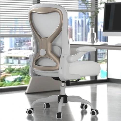 Office Desk Chair with Ergonomic Lumbar Support, Extra-Thick Seat Cushion, Flip-up Arms, Breathable Mesh Back — Smart Chairs, CASASIO