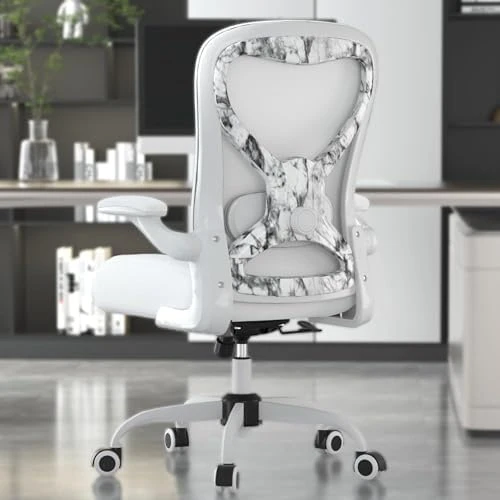 Office Desk Chair with Ergonomic Lumbar Support, Extra-Thick Seat Cushion, Flip-up Arms, Breathable Mesh Back — Smart Chairs, CASASIO