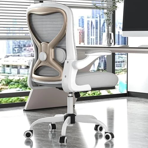 Office Desk Chair with Ergonomic Lumbar Support, Extra-Thick Seat Cushion, Flip-up Arms, Breathable Mesh Back — Smart Chairs, CASASIO