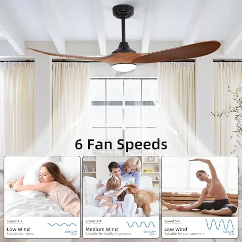 Outdoor Ceiling Fan with Light and Remote via WiFi Alexa — Smart Fan, Homlit
