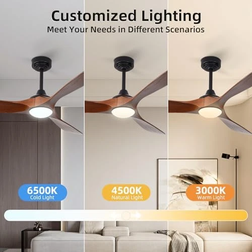 Outdoor Ceiling Fan with Light and Remote via WiFi Alexa — Smart Fan, Homlit
