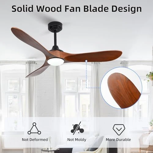 Outdoor Ceiling Fan with Light and Remote via WiFi Alexa — Smart Fan, Homlit