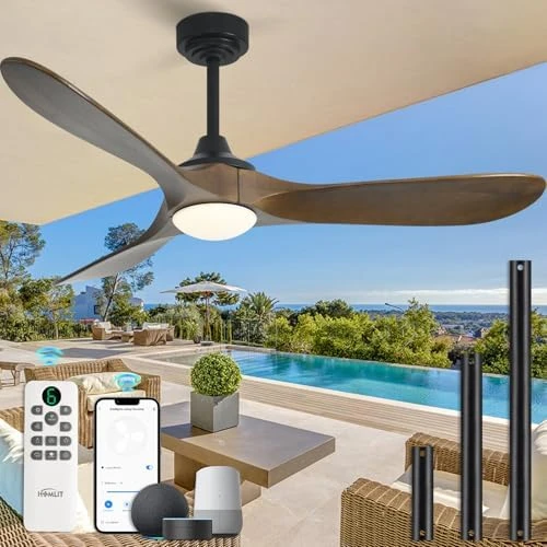 Outdoor Ceiling Fan with Light and Remote via WiFi Alexa — Smart Fan, Homlit