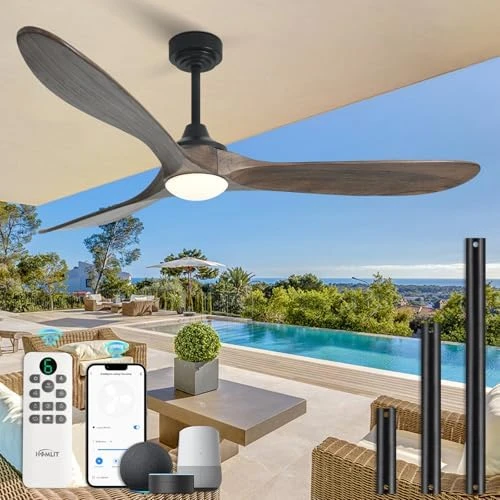 Outdoor Ceiling Fan with Light and Remote via WiFi Alexa — Smart Fan, Homlit