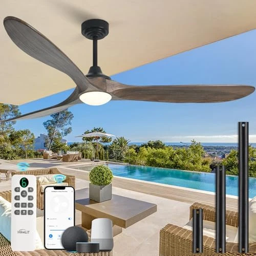 Outdoor Ceiling Fan with Light and Remote via WiFi Alexa — Smart Fan, Homlit