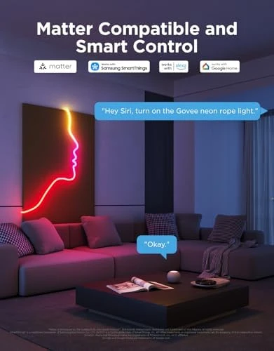RGBIC Neon Lights — LED Strip Lights, Govee