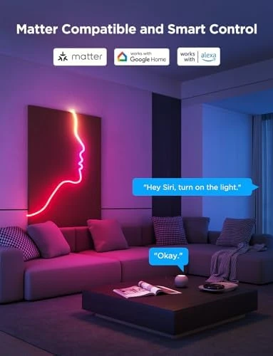 RGBIC Neon Lights — LED Strip Lights, Govee